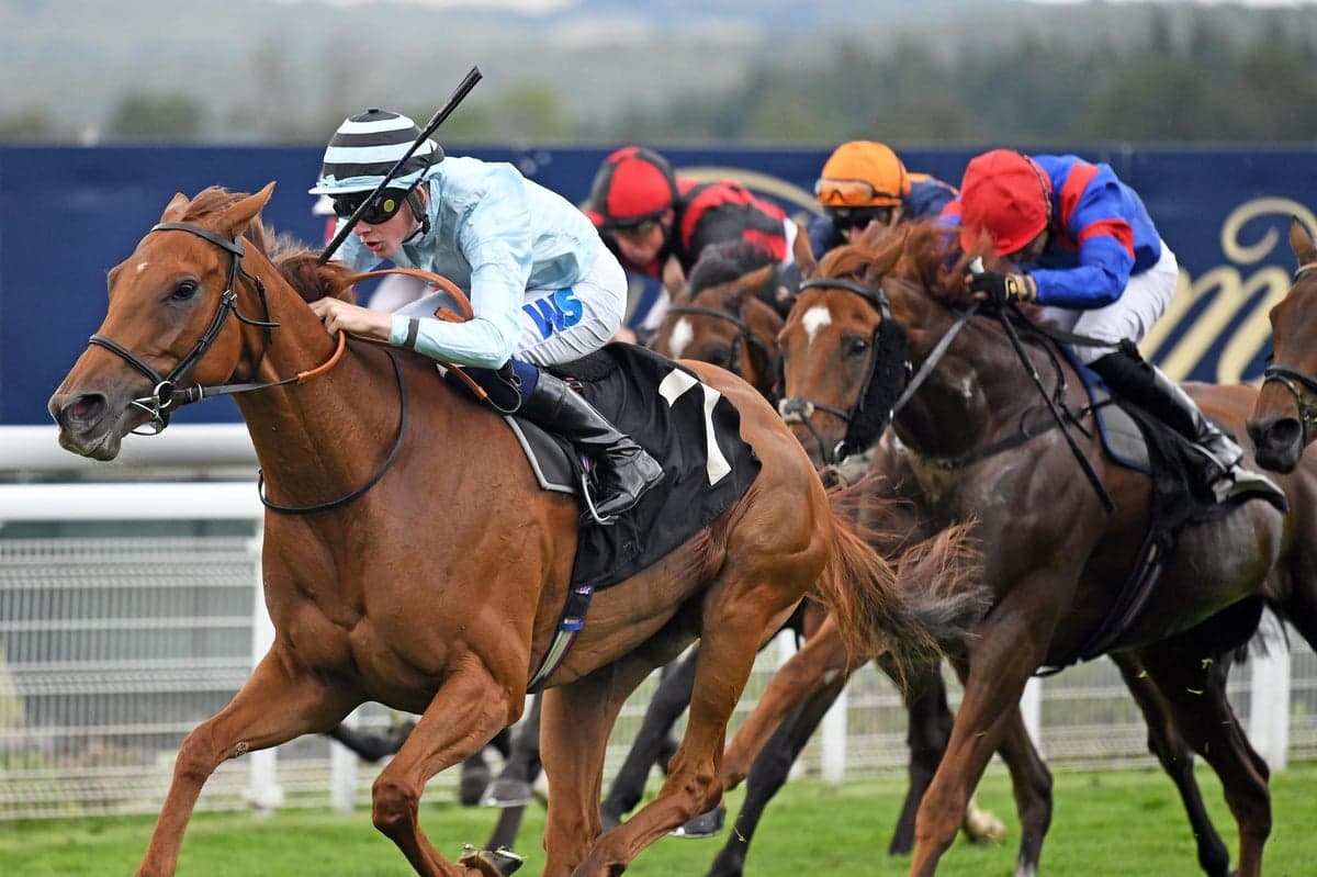 Goodwood | Finishing Straight Transformation